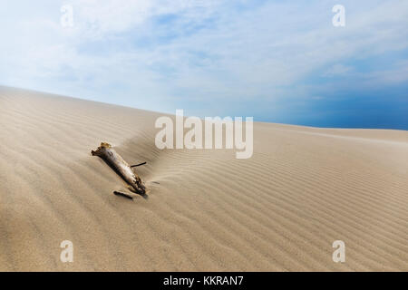 L'errance dune rabjerg mile Banque D'Images