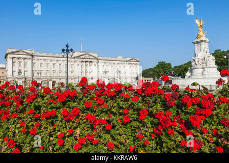 L'Angleterre, Londres, Buckingham palace Banque D'Images