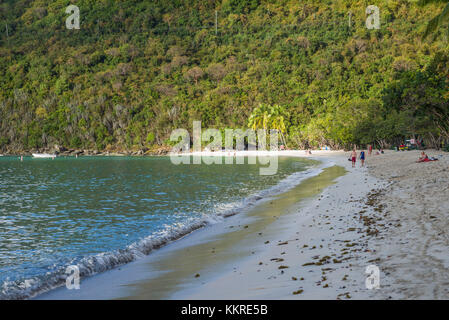 Aux îles Vierges, st. thomas, Magens Bay magens bay beach Banque D'Images