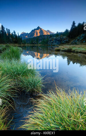 Piton rocheux de Sasso Moro reflète dans Mufulè le lac à l'aube de la vallée Zone Val Malenco Valtellina Lombardie province de Sondrio Italie Europe Banque D'Images