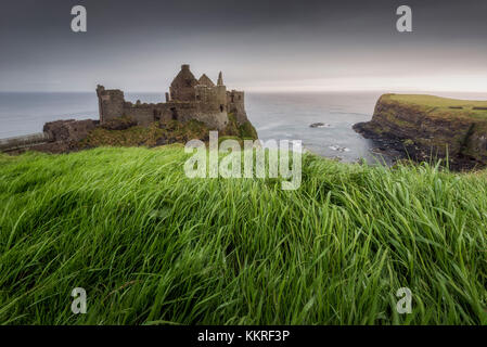 Ruines du château de dunluce, Irlande du Nord, le comté d'Antrim, bushmills, Royaume-Uni Banque D'Images