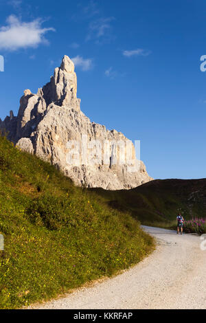 Randonneur promenades sur la piste, le coucher du soleil le cimon della pala, Pale di San Martino, dolomites col rolle, province de Trento, Trentino Alto Adige, Italie, Europe Banque D'Images