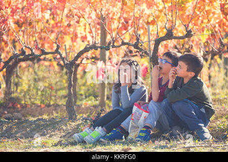 L'Europe, l'Italie, l'Ombrie, Pérouse, district de Montefalco. Enfants jouant dans un vignoble. Banque D'Images