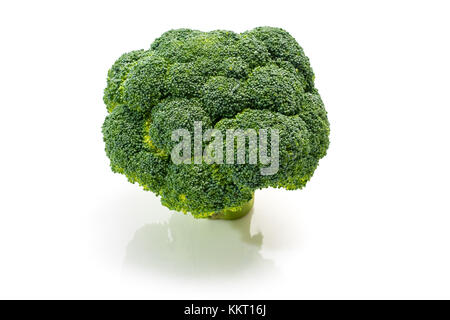 Le brocoli frais, regardez, Studio Shot on White Background Banque D'Images