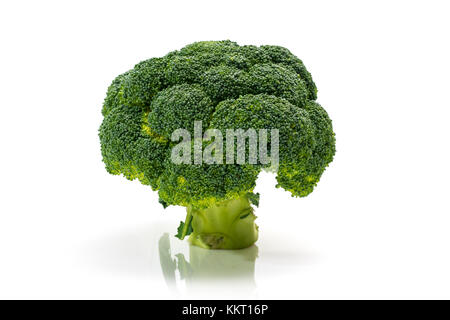 Le brocoli frais, regardez, Studio Shot on White Background Banque D'Images