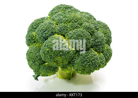 Le brocoli frais, angle supérieur Tree Regardez, Studio Shot on White Background Banque D'Images