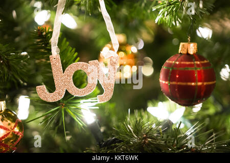 Cuir joie mot accroché à la direction générale de l'arbre de Noël Banque D'Images