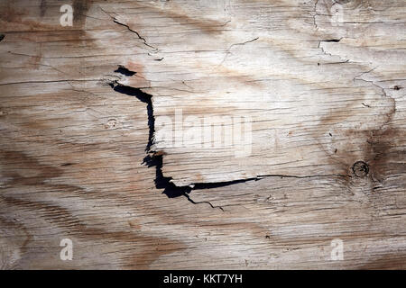 L'écaillage de la surface fissurée old weathered wood avec un grand splinter rupture dans une texture de fond plein cadre Banque D'Images