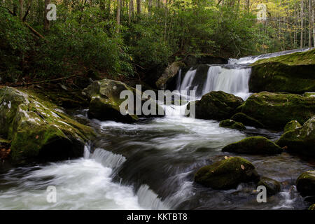 Lynn camp broche est l'un des deux principaux affluents de la broche du milieu de la petite rivière dans le Great Smoky Mountain National Park. Il est accessible par le sentier de terre du milieu qui suit le flux. la petite rivière est d'environ 60 milles de long et très pittoresque. Il commence dans le parc national Great Smoky et finalement se jette dans la rivière Tennessee à fort loudon lake. Banque D'Images