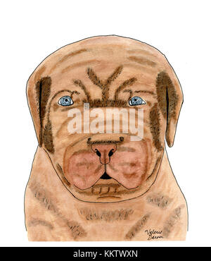 Ce chien de l'aquarelle est d'un chiot Mastiff Français aux yeux bleus. Banque D'Images