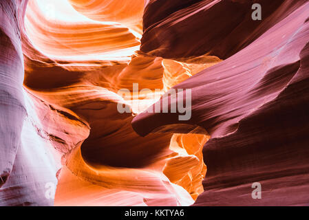 Belle lumière colorée et des formes d'eagle head sand rock dans lower Antelope Canyon Banque D'Images