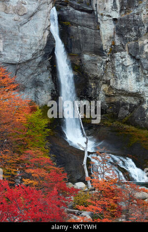 Chorrillo el cascade, près de El Chalten, Parque Nacional Los Glaciares (zone du patrimoine mondial), Patagonie, Argentine, Amérique du Sud Banque D'Images