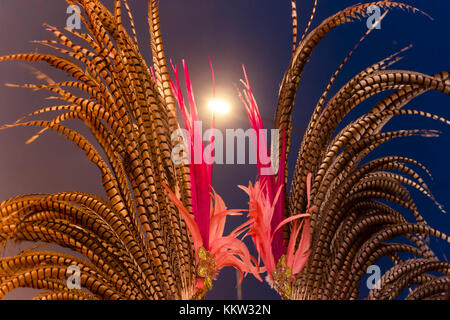 Plumes d'or du carnaval au cours de la nuit ciel lumineux Banque D'Images