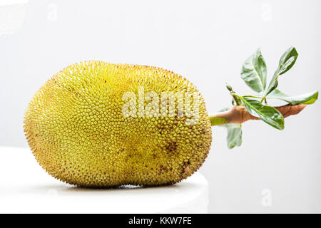 Jack fruits avec des feuilles Banque D'Images