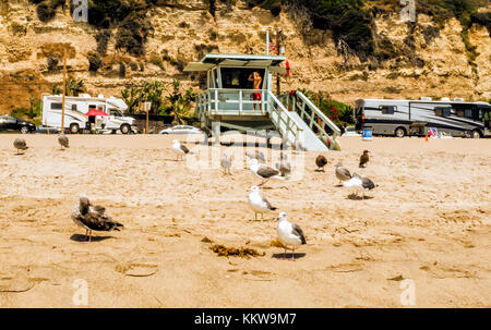 Venice beach lifeguard tower avec de nombreuses mouettes le 13 août, 2017 - Venice Beach, Los Angeles, Californie, la, CA, USA Banque D'Images