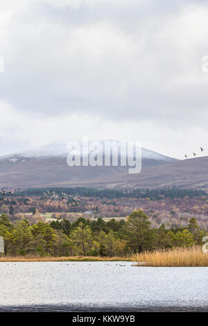 Loch Garten et le repas a' Bhuachaille dans le Parc National de Cairngorms de l'Ecosse. Banque D'Images