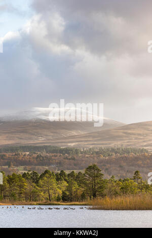 Loch Garten et le repas a' Bhuachaille dans le Parc National de Cairngorms de l'Ecosse. Banque D'Images