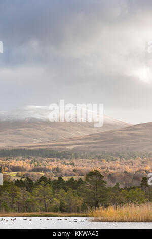 Loch Garten et le repas a' Bhuachaille dans le Parc National de Cairngorms de l'Ecosse. Banque D'Images