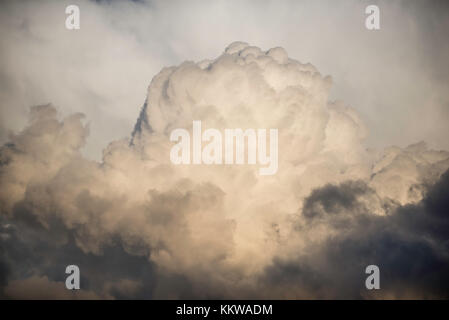 Cumulus congestus de nuages en haute altitude, le Mont Evans Wilderness Area, Colorado, USA par Bruce Montagne/Dembinsky Assoc Photo Banque D'Images