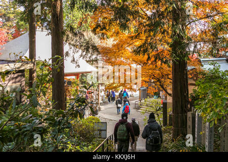 Mont Takao, Japon. 2 décembre 2017. Beaucoup de gens visitent le Mont Takao et apprécient le feuillage d'automne le premier week-end de décembre. Crédit: Yuichiro Tashiro crédit: y.location/Alay Live News Banque D'Images