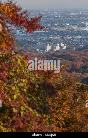 Mont Takao, Japon. 2 décembre 2017. On peut encore voir le feuillage d'automne sur le Mont Takao au Japon en décembre. Crédit: Yuichiro Tashiro crédit: y.location/Alay Live News Banque D'Images