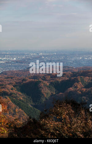 Mont Takao, Japon. 2 décembre 2017. On peut encore voir le feuillage d'automne sur le Mont Takao au Japon en décembre. Crédit: Yuichiro Tashiro crédit: y.location/Alay Live News Banque D'Images