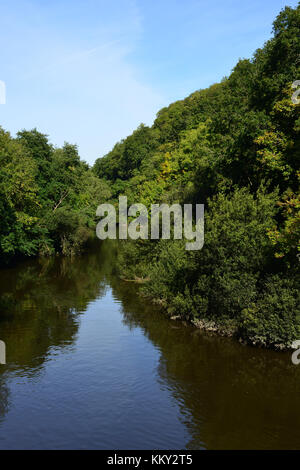 L'Afon Teifi/rivière Teifi à Cilgerran Banque D'Images