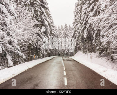 Une route dans les montagnes entouré de sapins enneigés au début de l'hiver (novembre 2017) dans les vosges (France) Banque D'Images