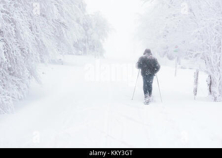 Un randonneur en raquettes randonnée sur un sentier dans la montagne alors qu'il neige beaucoup. En hiver, les montagnes des Vosges, France. Banque D'Images