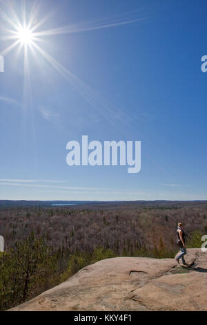 Point de vue au sein de l'Algonquin Parc national - Canada Banque D'Images