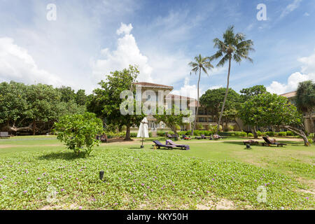 La végétation à ahungalla, Sri Lanka, Asie Banque D'Images