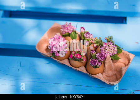 Décorée de fleurs en coquilles, still life easter Banque D'Images