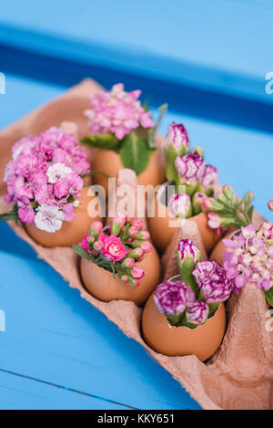 Décorée de fleurs en coquilles, still life easter Banque D'Images