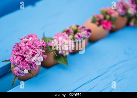 Décorée de fleurs en coquilles, still life easter Banque D'Images