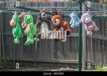 Jouets en peluche hanging out (séchage) sur la ligne de lavage dans un jardin de banlieue en Australie Banque D'Images