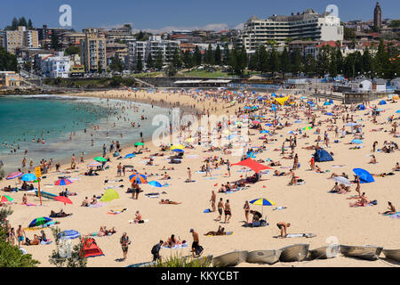 Baigneurs sur coogee beach, coogee, une banlieue est de Sydney, New South Wales, Australia Banque D'Images