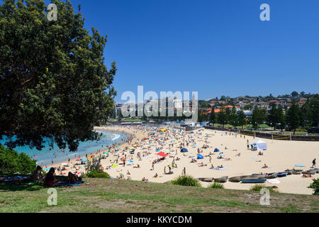 Dunningham de Coogee Beach park, coogee, une banlieue est de Sydney, New South Wales, Australia Banque D'Images