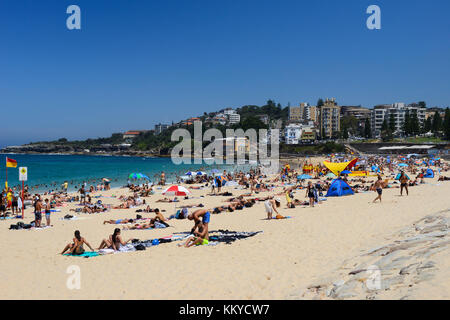 Baigneurs sur coogee beach, coogee, une banlieue est de Sydney, New South Wales, Australia Banque D'Images