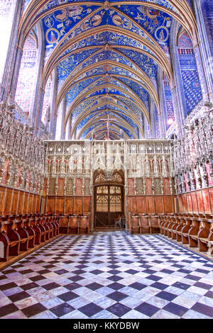 Intérieur de la cathédrale sainte-Cécile à Albi Banque D'Images