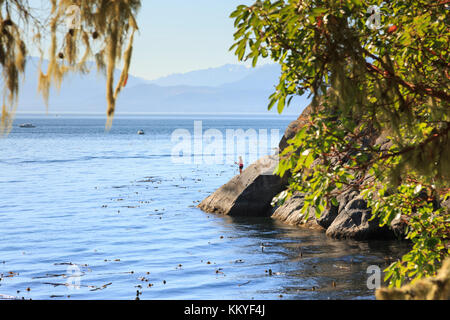 Parc régional East Sooke, Sooke, île de Vancouver, Colombie-Britannique, Canada Banque D'Images