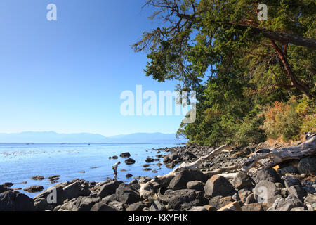 Parc régional East Sooke et le détroit de Juan de Fuca, Sooke, île de Vancouver, Colombie-Britannique, Canada Banque D'Images