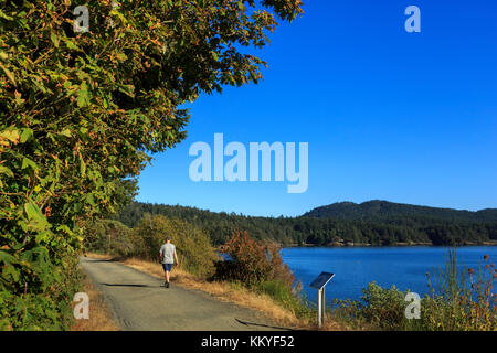 Sentier régional Galloping Goose ( 55 kilomètres) entre Victoria et leechtown, île de Vancouver, Colombie-Britannique, Canada Banque D'Images