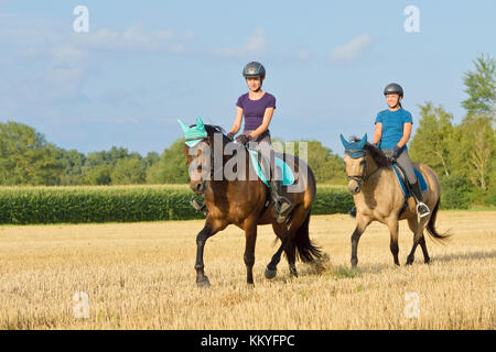 Deux fille sur le dos de poneys équitation allemande trot dans un champ de chaume Banque D'Images