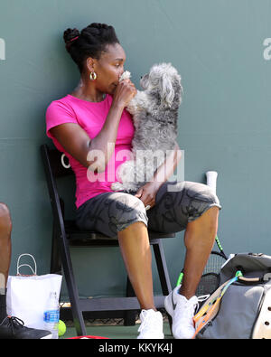 KEY BISCAYNE, FL - 23 MARS : venus Williams des États-Unis célèbre la Journée nationale du chiot sur le court d'entraînement avec son chien Harold « Harry » Reginald le 4 jour de l'ouverture de Miami au Crandon Park tennis Centre le 23 mars 2017 à Key Biscayne, en Floride. Les gens: Vénus Williams, Harry Banque D'Images