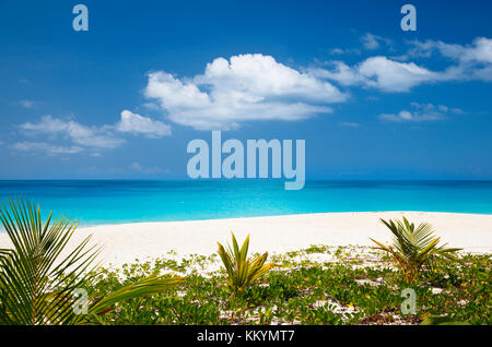 Plage des caraïbes parfait à Antigua. Banque D'Images