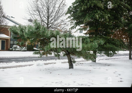 Une belle maison après une tempête de neige Neige arbre hiver résidentiel maisons Banque D'Images