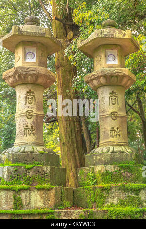 De Kasuga Taisha lanterne de pierre Banque D'Images