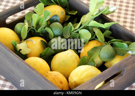 Pile de citrons frais et citron vert kaffir, dans un coffret en bois Banque D'Images