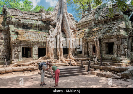 Touristes posant à Ta Prohm à Siem Reap. Construit au 12-13ème siècle, le temple de Ta Prohm a été plus tard le lieu du film Tomb Raider. Banque D'Images