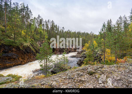 Red Cliff, mur de pierre, forêt, cascade et vue sur la rivière sauvage à l'automne. Couleurs d'automne, en temps ruska Kiutaköngäs. Partie de Karhunkierros Trail. Oulanka Banque D'Images